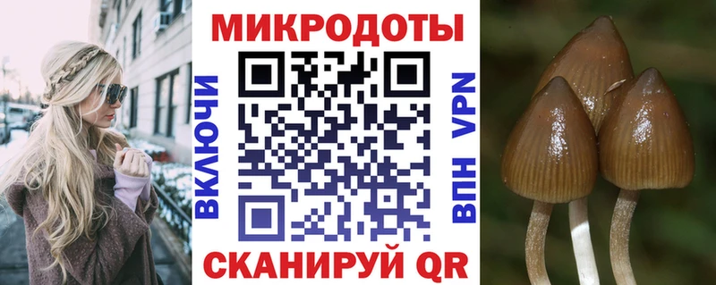кракен как войти  купить  цена  Ленинск  Псилоцибиновые грибы ЛСД 